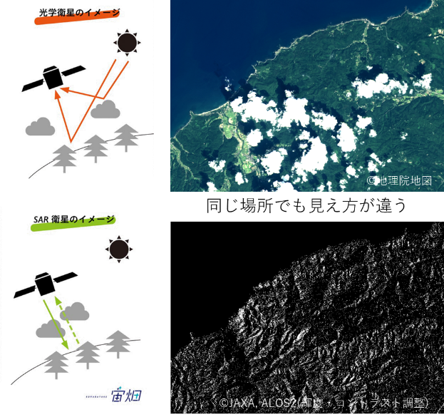 図1 光学衛星とSAR衛星の違い